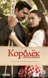 Королек - птичка певчая