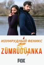 Изумрудный Феникс / Птица Феникс